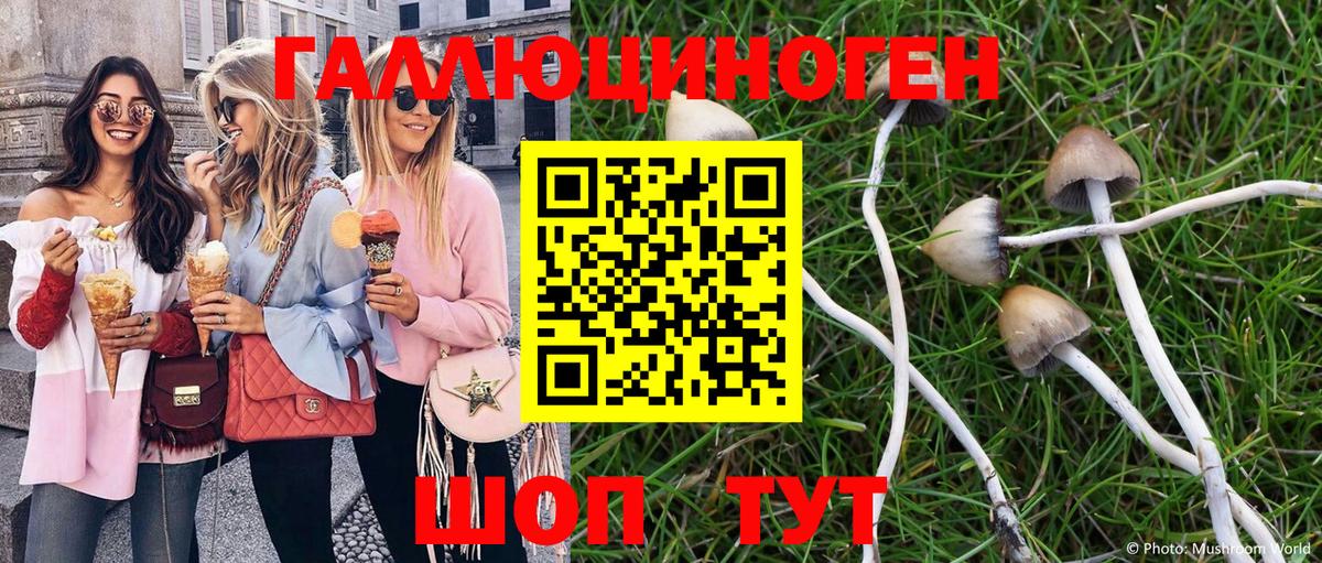 Псилоцибиновые грибы MAGIC MUSHROOMS Ликино-Дулёво